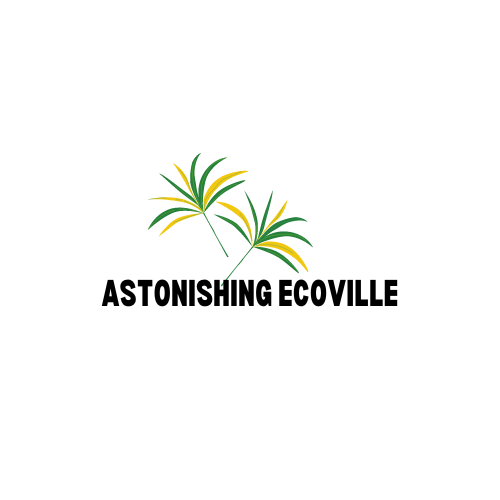 Ecoville LLC