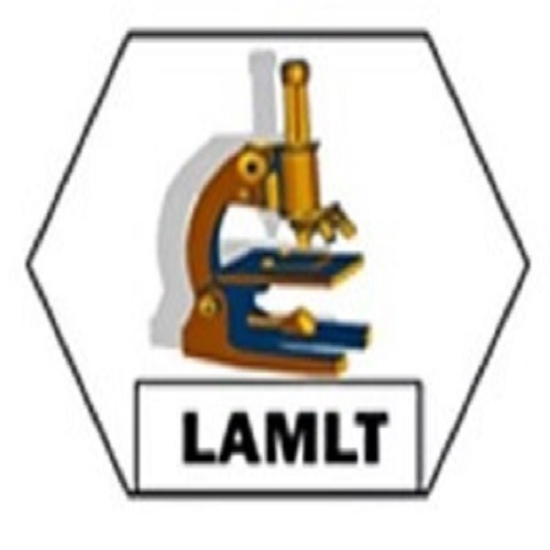 lamlt